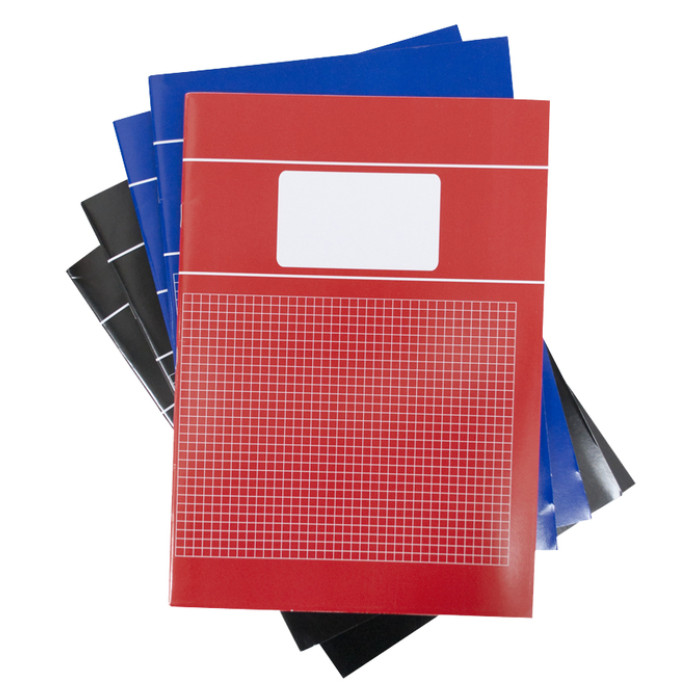 Schrift  SOHO Basic A4 ruit 5x5mm 80 pagina's 60gr assorti 5 stuks