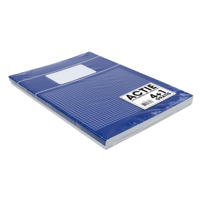 Schrift  SOHO Basic A4 ruit 5x5mm 80 pagina's 60gr assorti 5 stuks