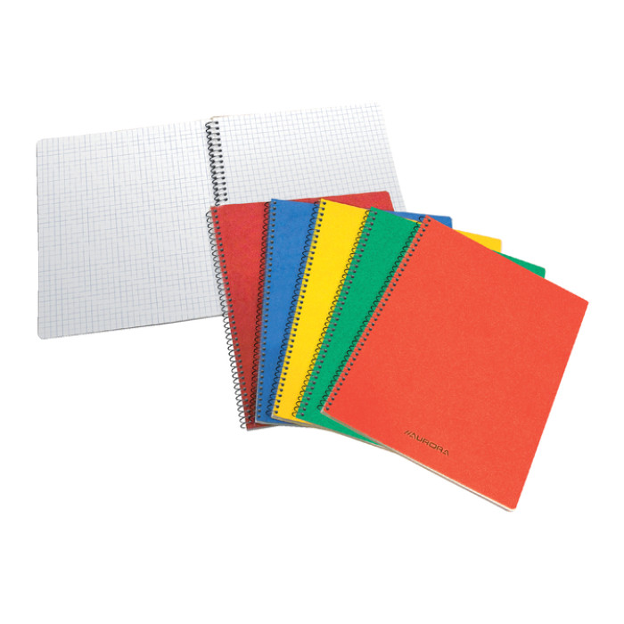 Schrift Aurora 80x135mm ruit 5x5mm 200 pagina's 60gr assorti