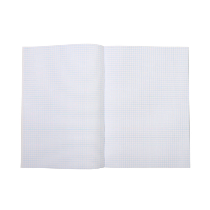 Schrift Qbasic A4 ruit 5mm 80blz 70gr assorti