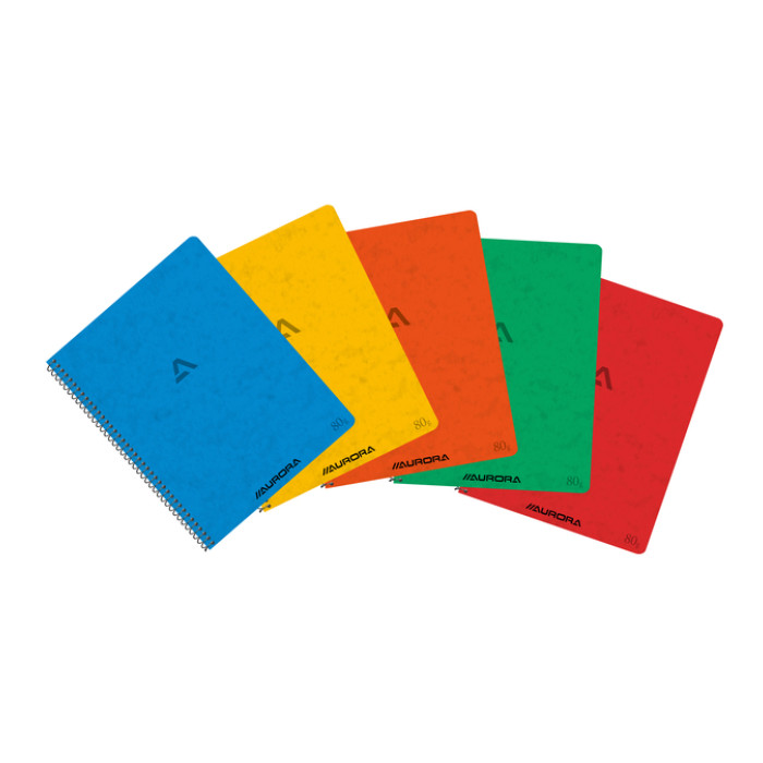Schrift Aurora 210x165mm ruit 5x5mm 120 pagina's 80gr assorti