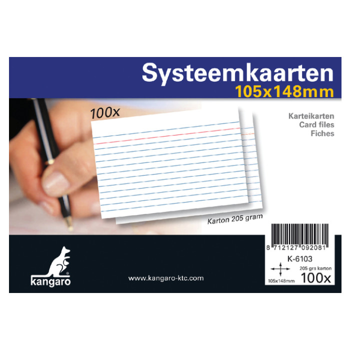 Systeemkaarten A6 105x148mm 100 stuks