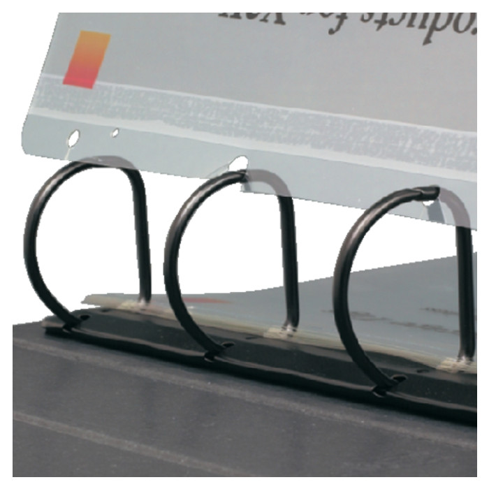 Opbergstrip Djois filestrip A4 295mm 2/4rings transparant 50 stuks