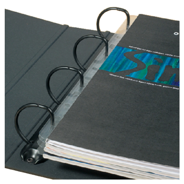 Opbergstrip Djois filestrip A4 295mm 2/4rings transparant 50 stuks