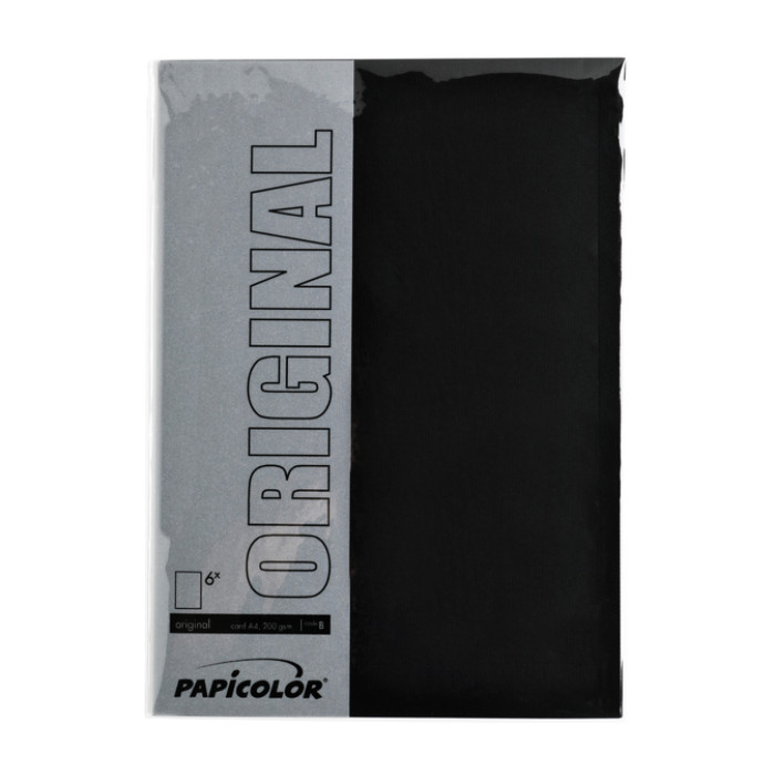 Kopieerpapier Papicolor A4 100gr 12 vel ravenzwart