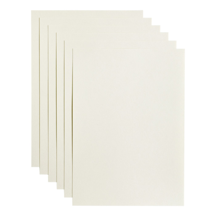 Kopieerpapier Papicolor A4 100gr 12 vel anjerwit