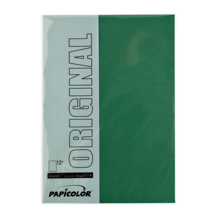 Kopieerpapier Papicolor A4 100gr 12 vel dennengroen