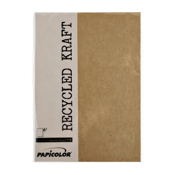 Kopieerpapier Papicolor A4 100gr 12 vel kraft bruin