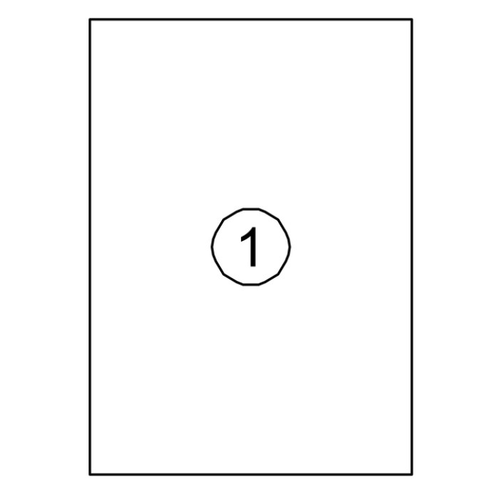 Etiket Avery DP001 210x297 wit 100 stuks