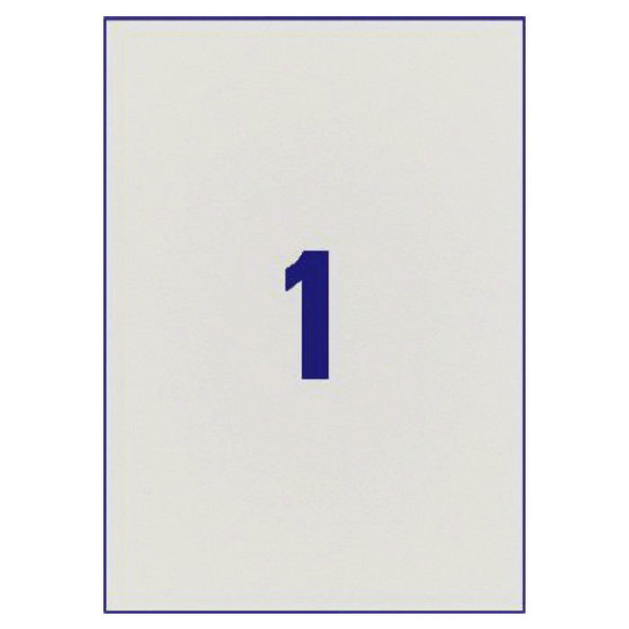 Etiket Avery L6013-20 210x297mm zilver 20 stuks