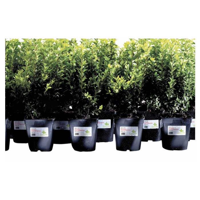 Etiket Avery L4774-20 99.1x139mm polyester wit 80 stuks