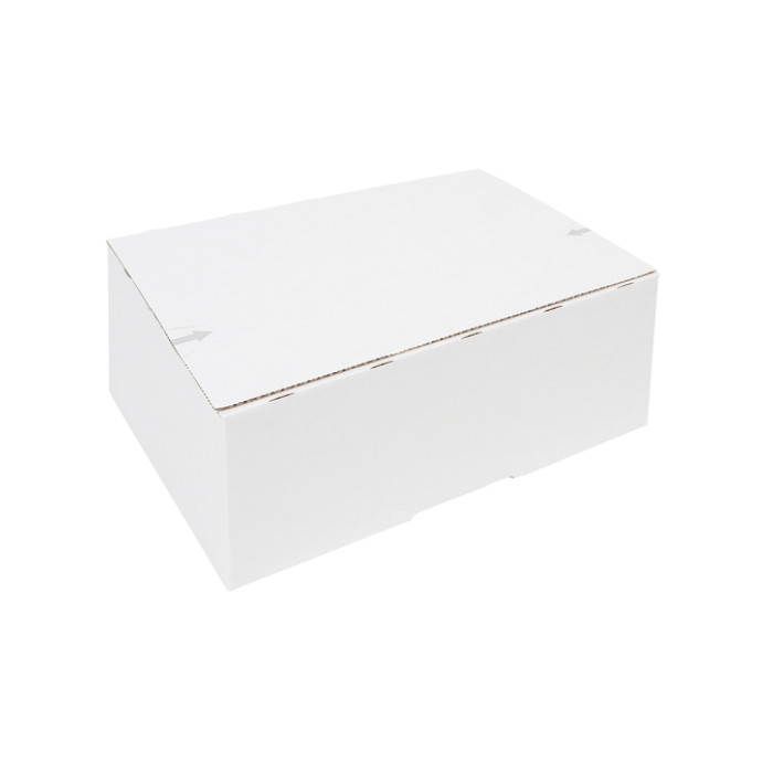 Postpakketbox IEZZY 2 200x140x80mm wit