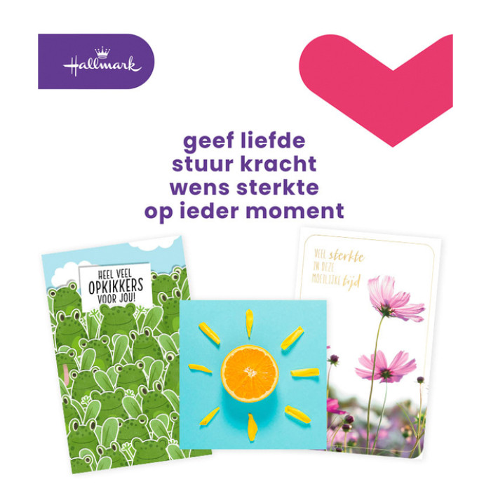 Wenskaart Hallmark Business Box beterschap navulset à 12 stuks