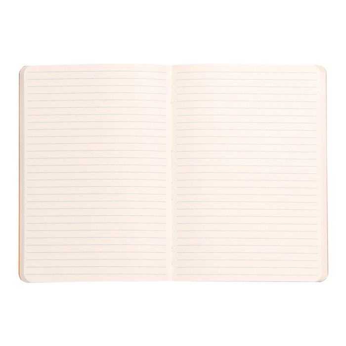 Notitieboek Rhodia A5 lijn 80 vel 90gr titanium