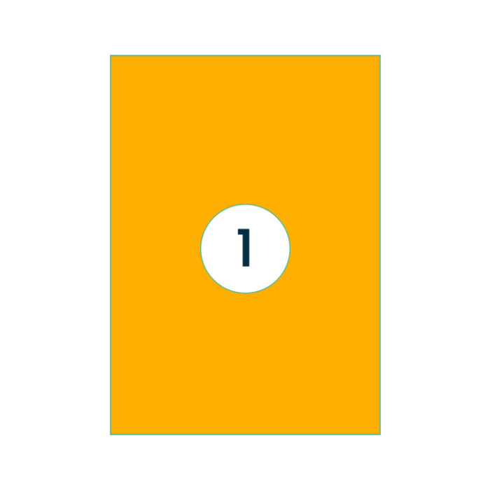 Etiket Rillprint 210x297mm fluor oranje 100 stuks