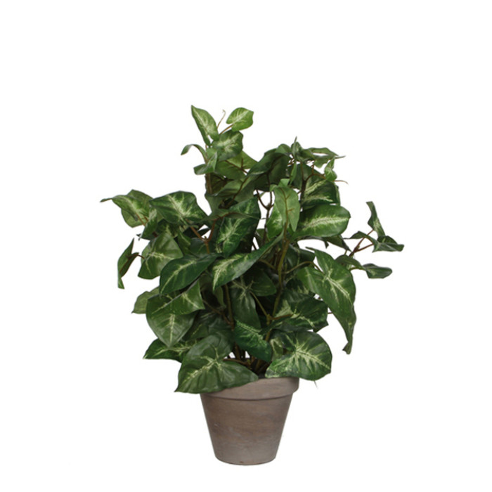 Kunstplant Mica Syngonium groen in pot Ø25 35cm