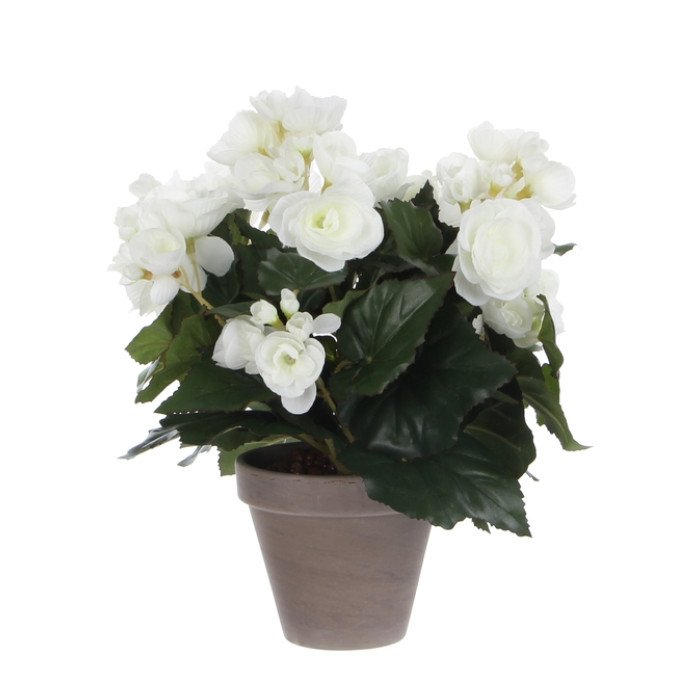 Kunstplant Mica Begonia wit in pot Stan grijs Ø25 30cm