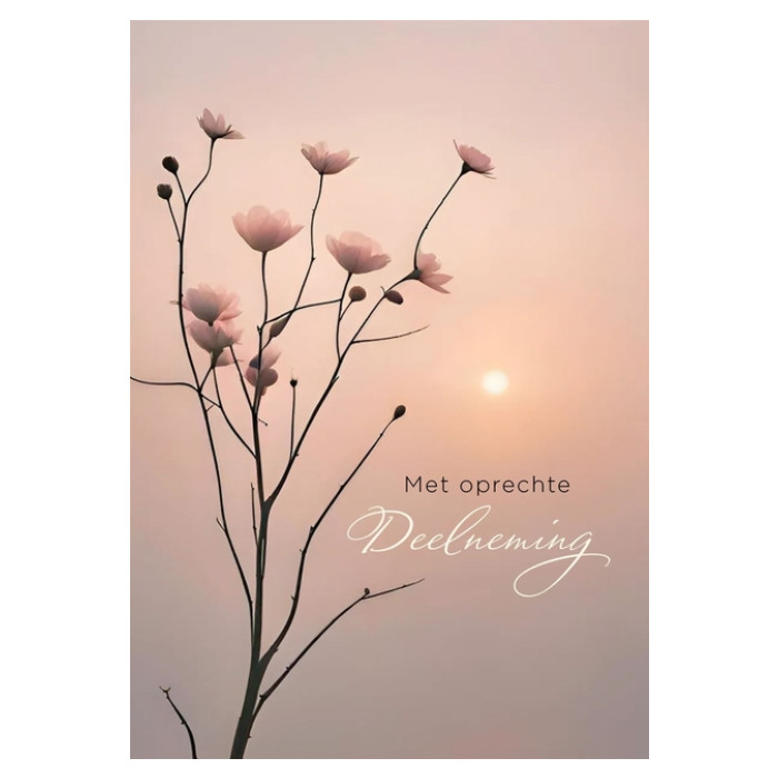 Wenskaart Hallmark condoleance bloemen pak à 6 stuks