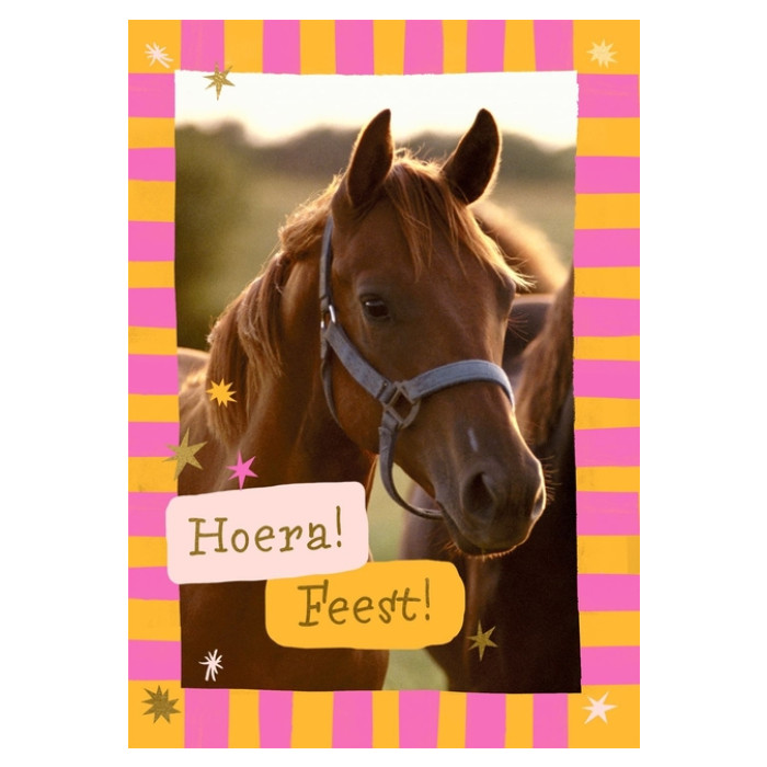 Wenskaart Hallmark uitnodiging paarden pak à 6 stuks