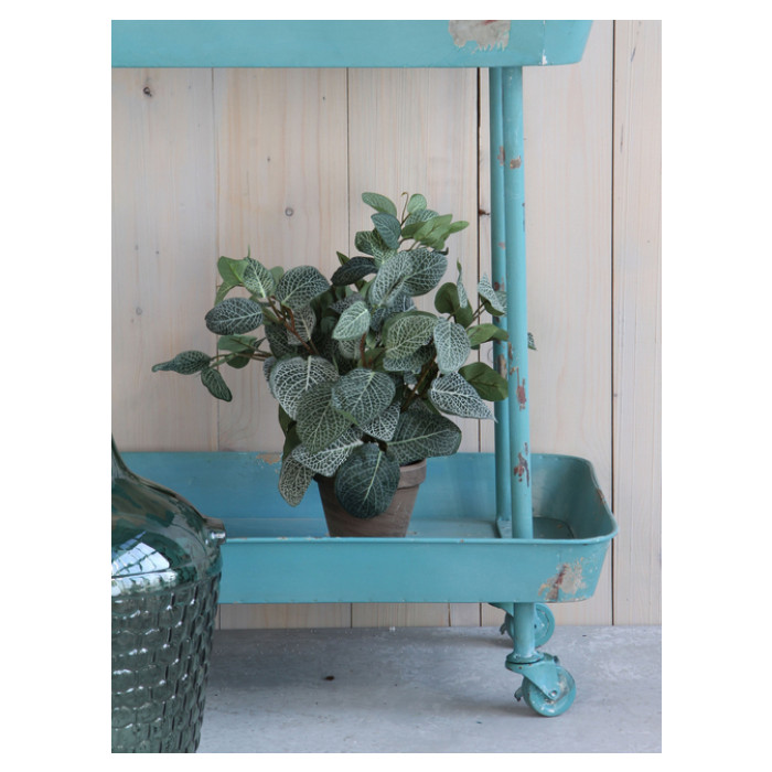 Kunstplant Mica Pilea in pot Ø11,5cm 35x25cm