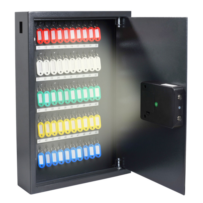 Sleutelkast Pavo High security Smart 50 haken 550x380x100mm