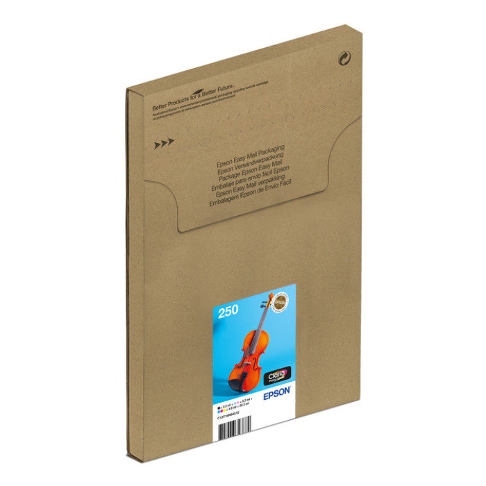 Inktcartridge Epson 250 T16N84 zwart  + 5 kleuren  Easymail